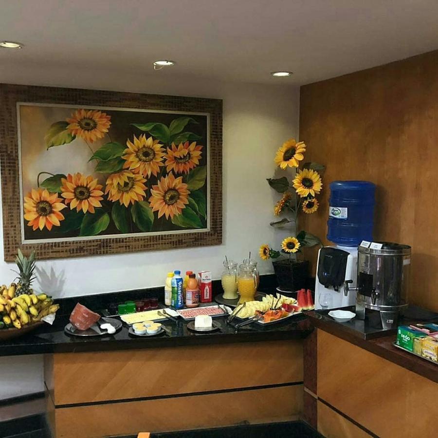 Horto Executivo Hotel イパチンガ エクステリア 写真